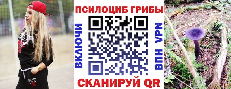 Галлюциногенные грибы ЛСД  наркошоп  Макушино 